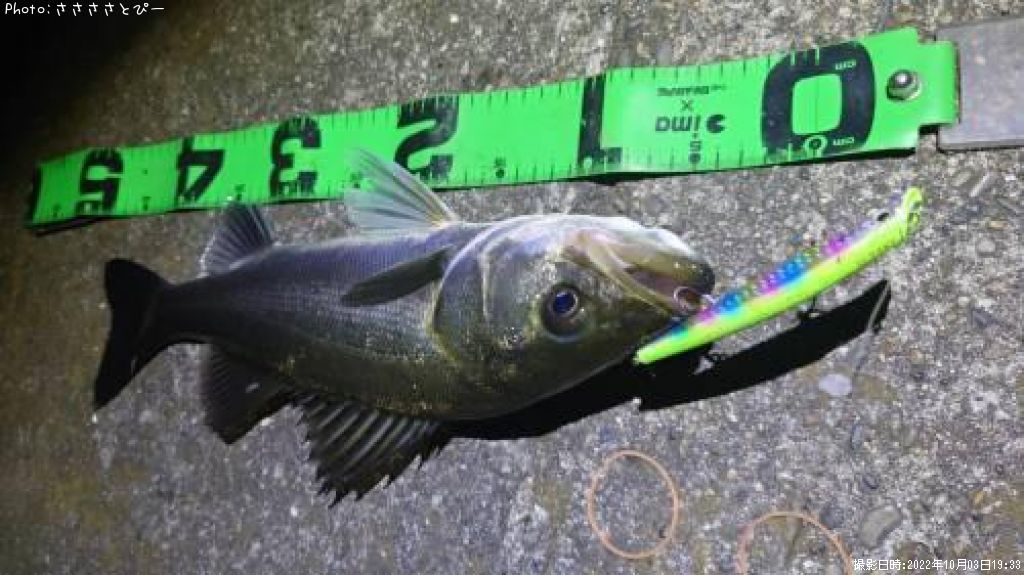 �����Х�