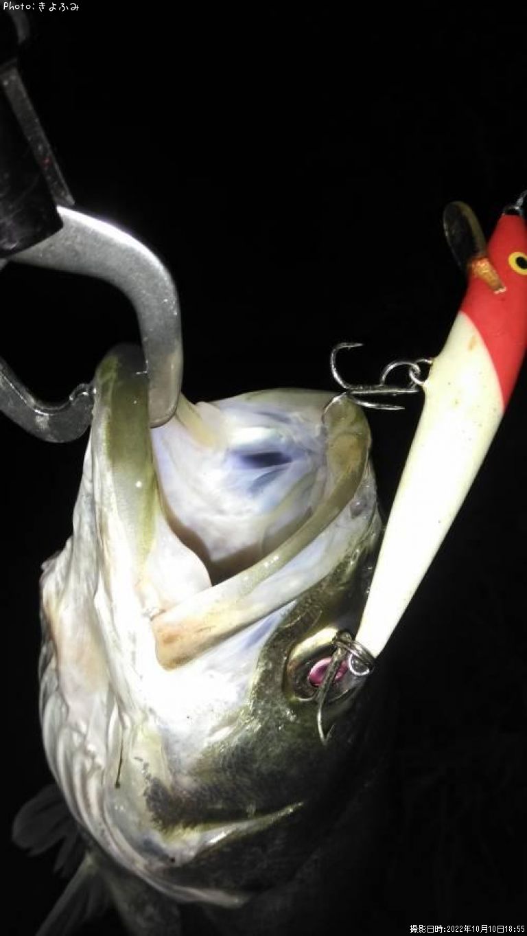 �����Х�