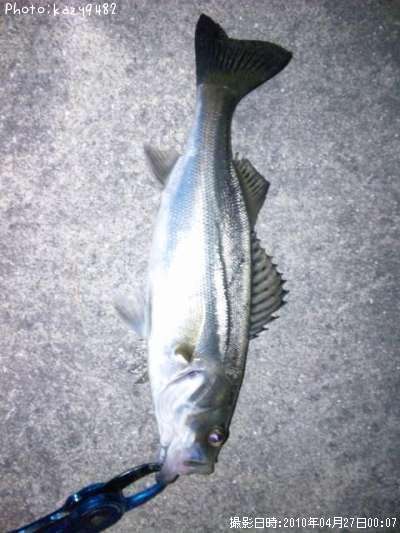 �����Х�