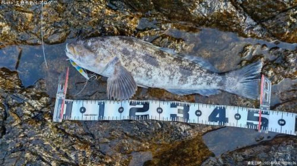 �����ʥ�