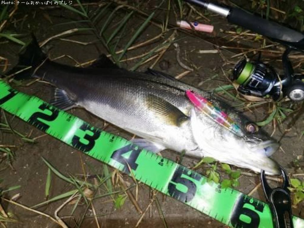 �����Х�