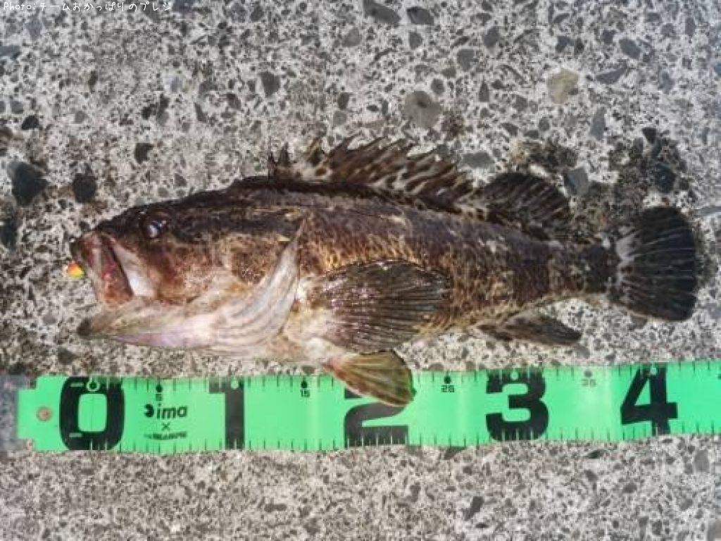 �����Υ���Х�