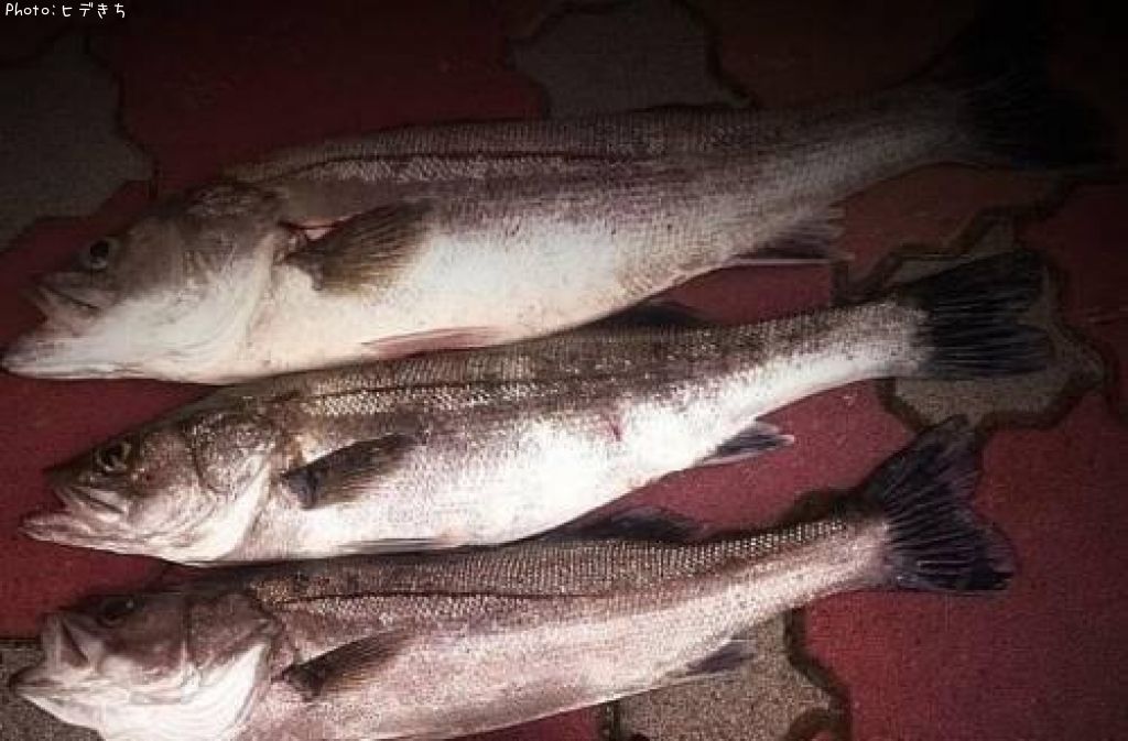 �����Х�