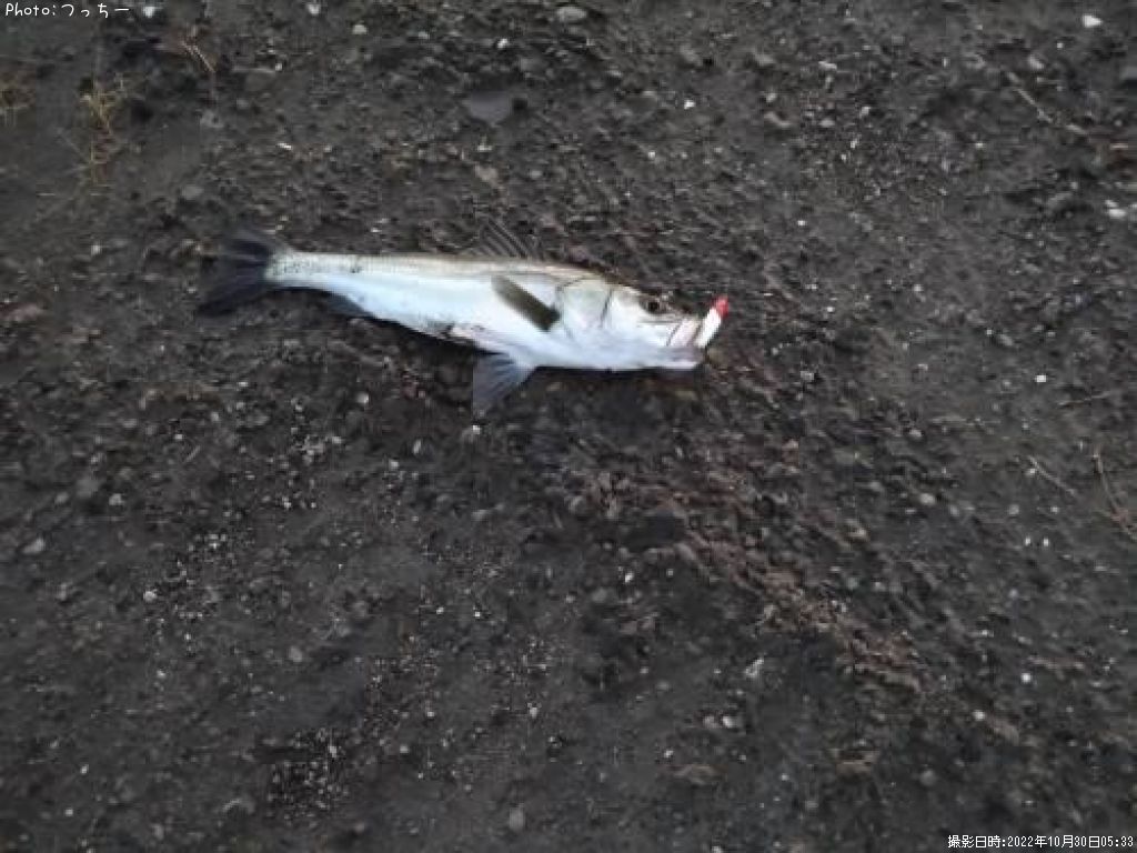 �����Х�