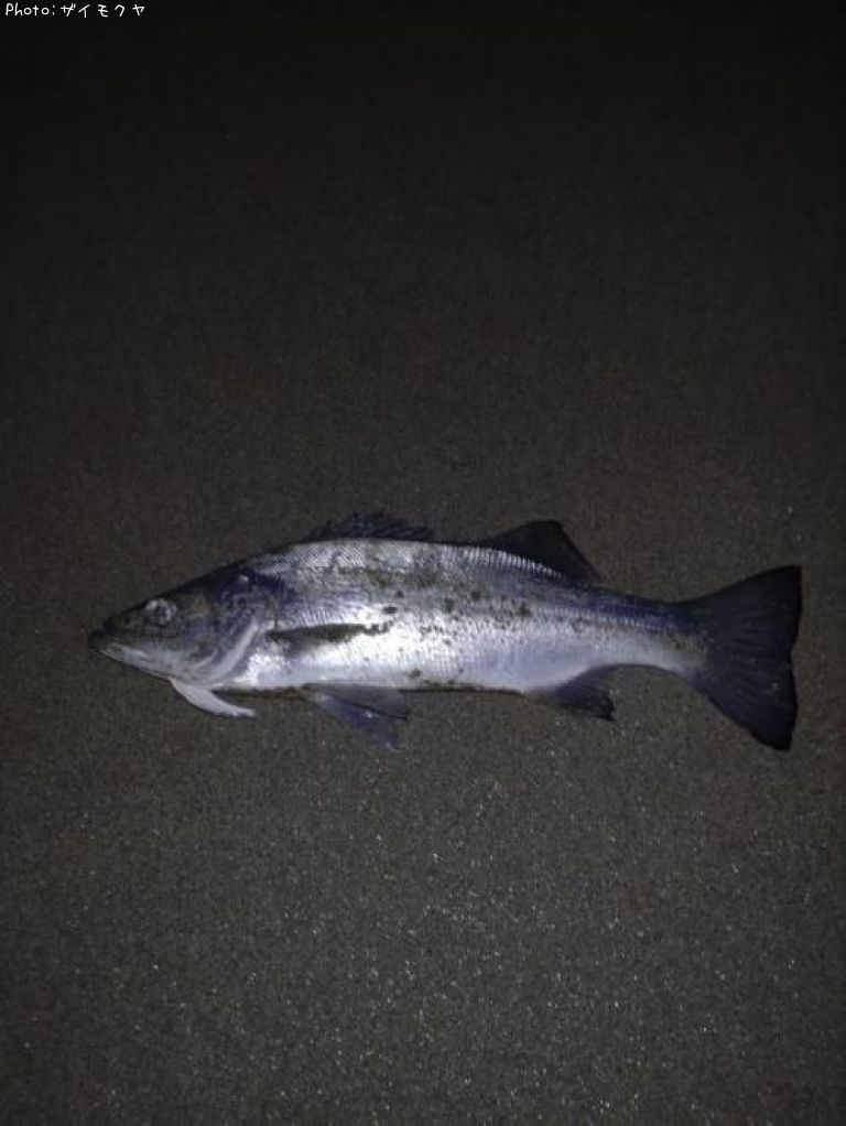 �����Х�