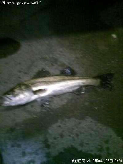 �����Х�