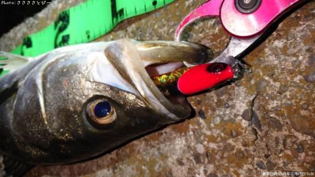 �����Х�