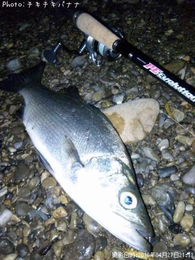 �ҥ饹����