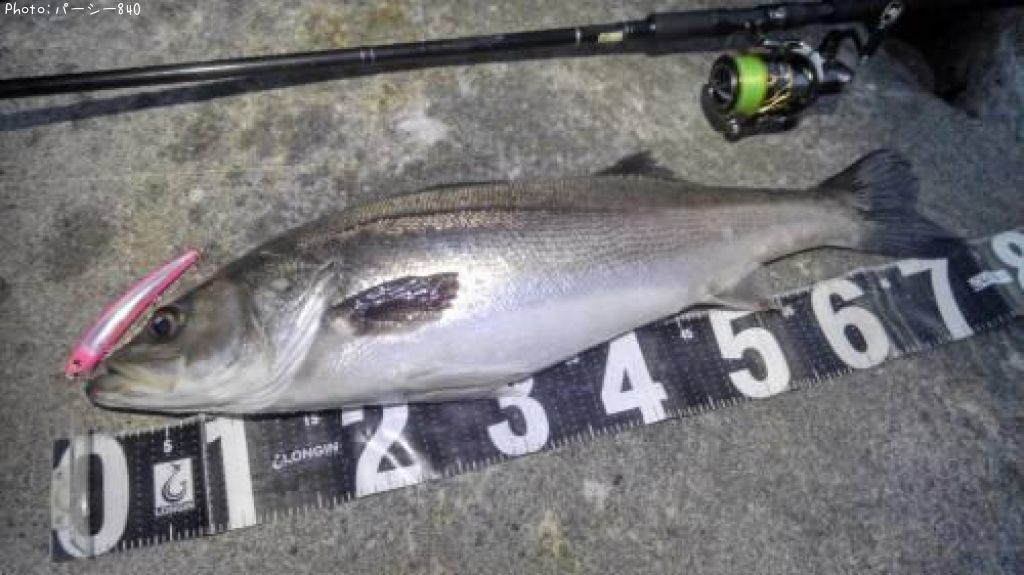 �����Х�