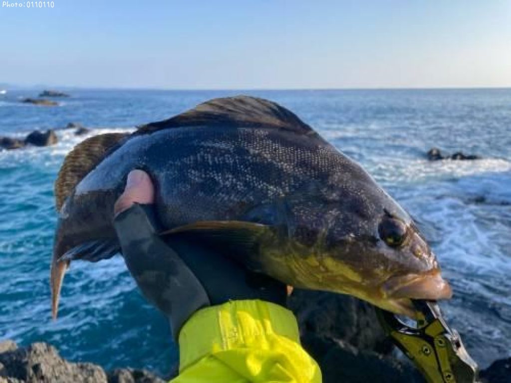 �����ʥ�