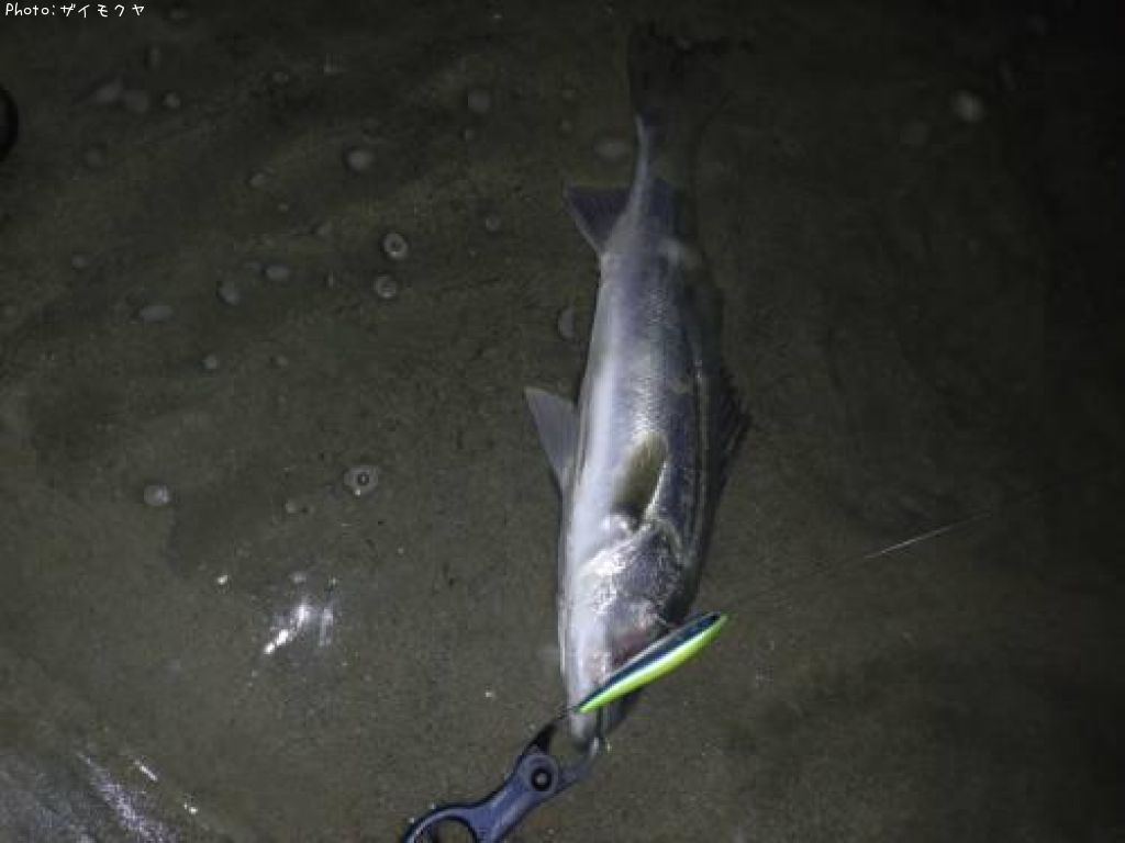 �����Х�