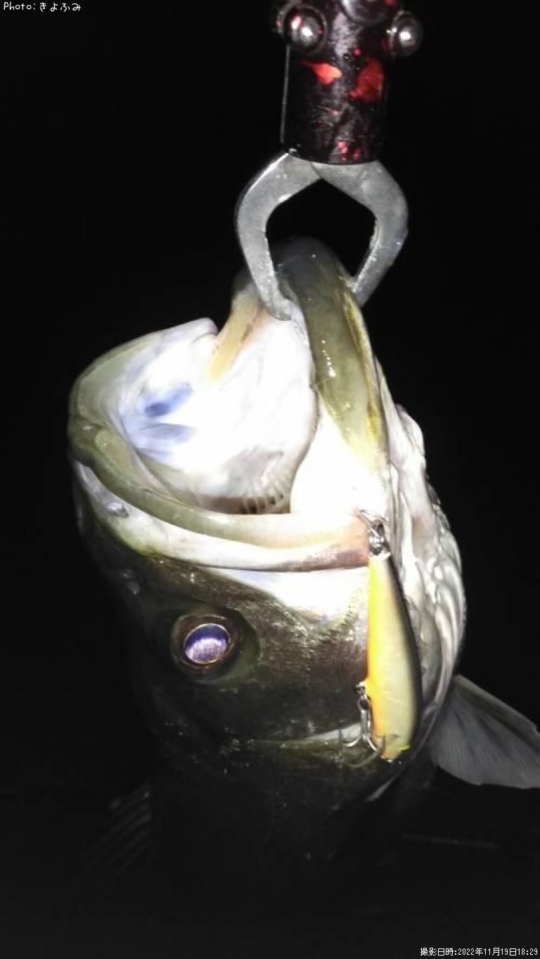 �����Х�