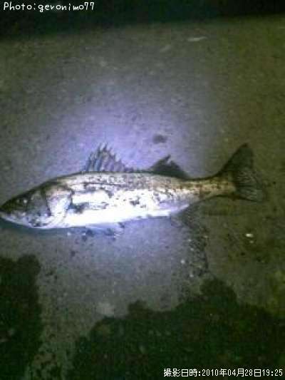 �����Х�