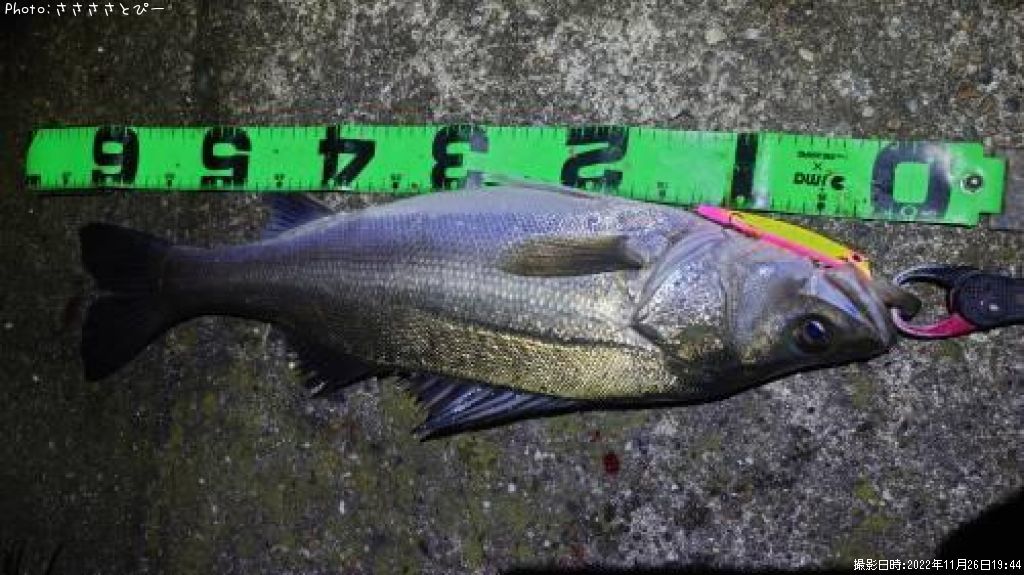 �����Х�