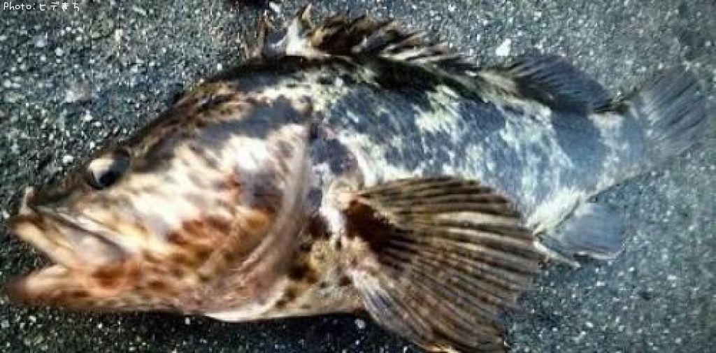 �����Υ���Х�