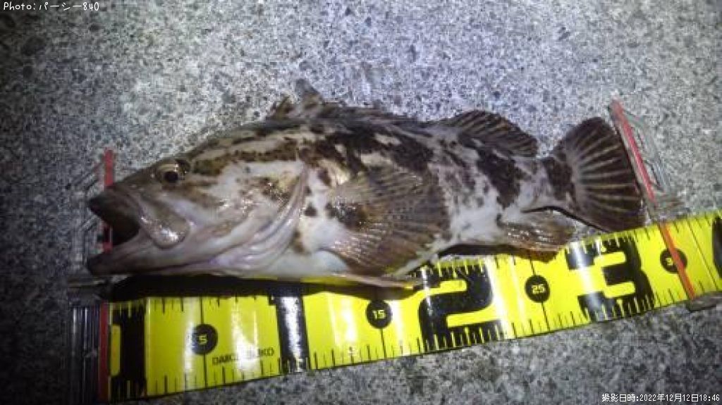 �����Υ���Х�