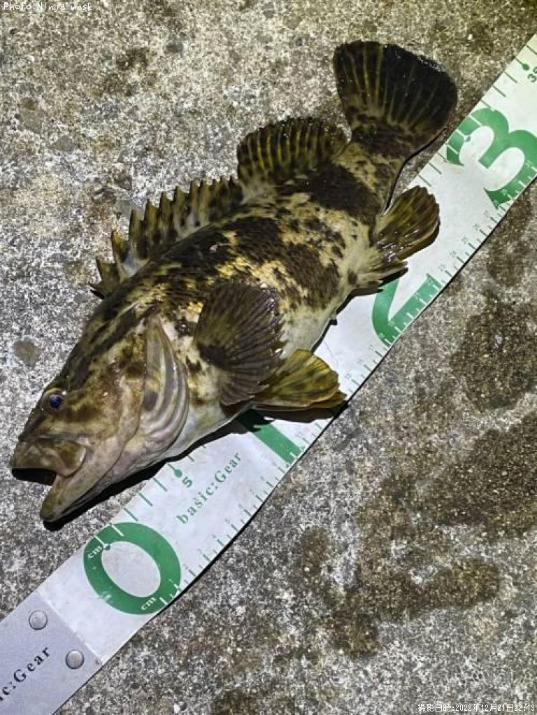 �����Υ���Х�