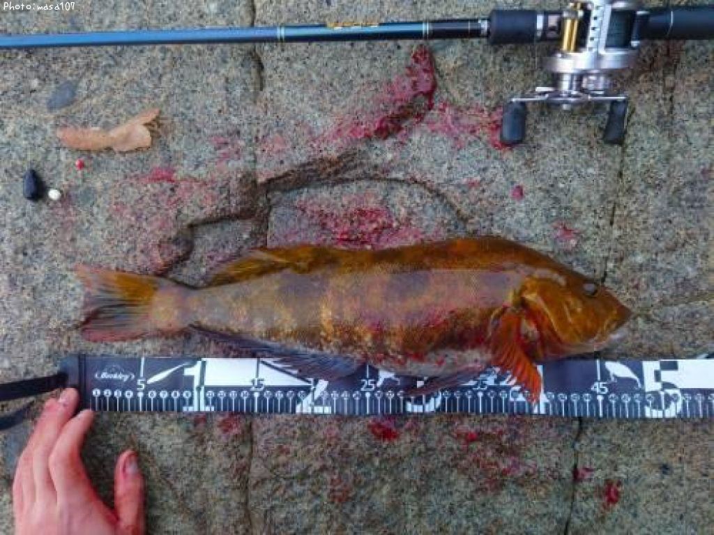 �����ʥ�