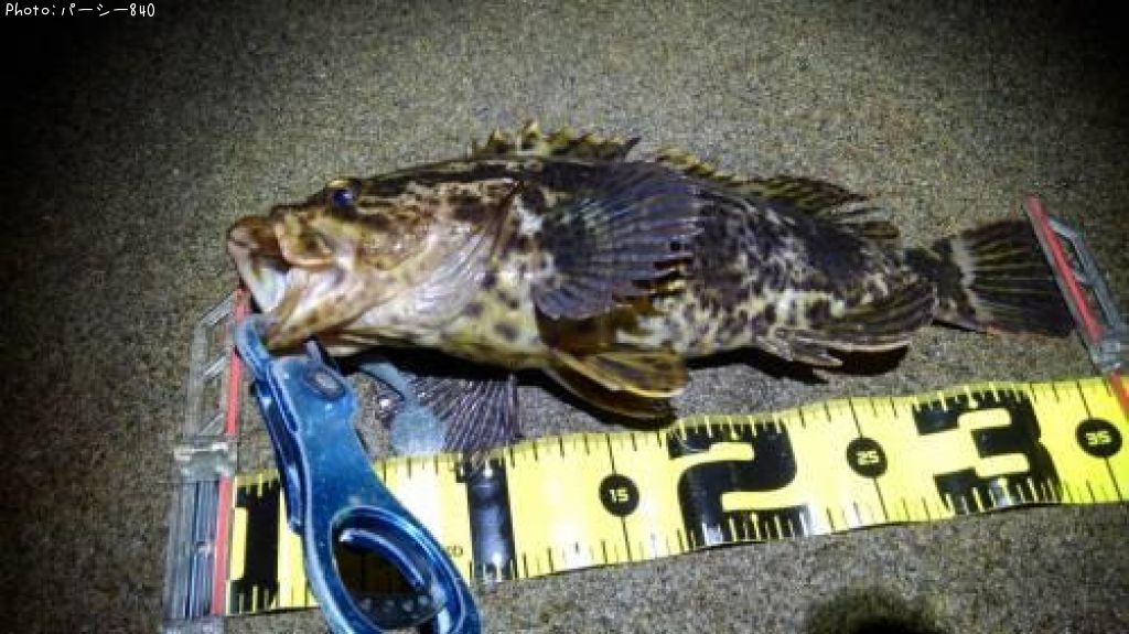 �����Υ���Х�