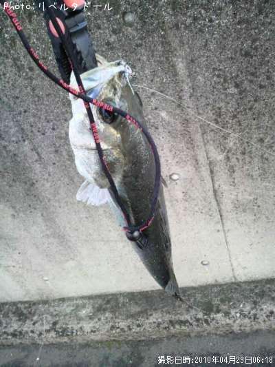 �����Х�