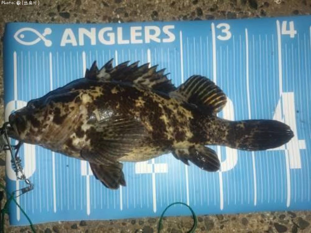 �����Υ���Х�