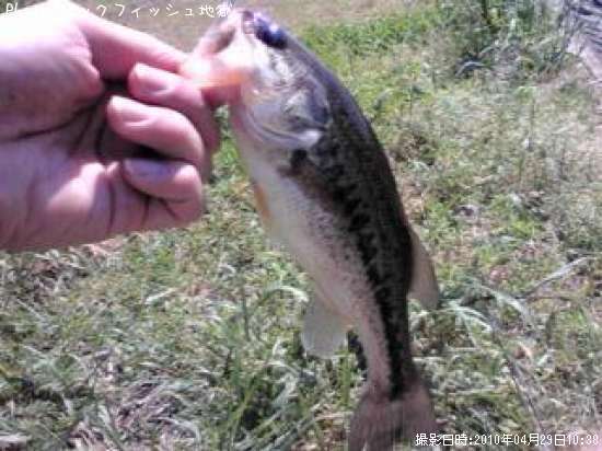 �֥�å��Х�