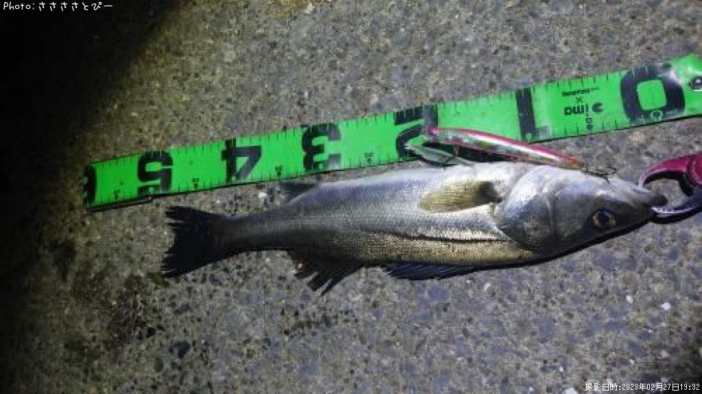 �����Х�