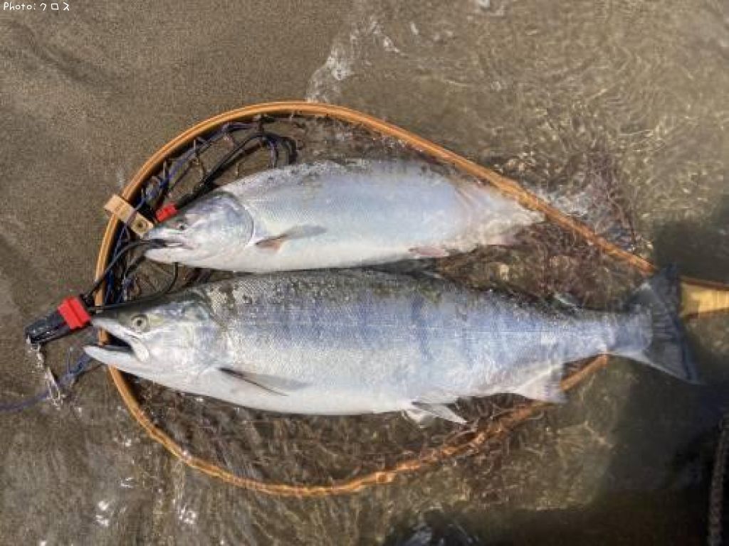 ������ޥ�