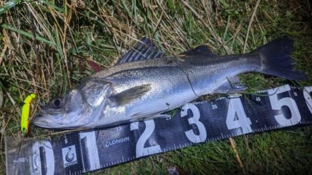 �����Х�