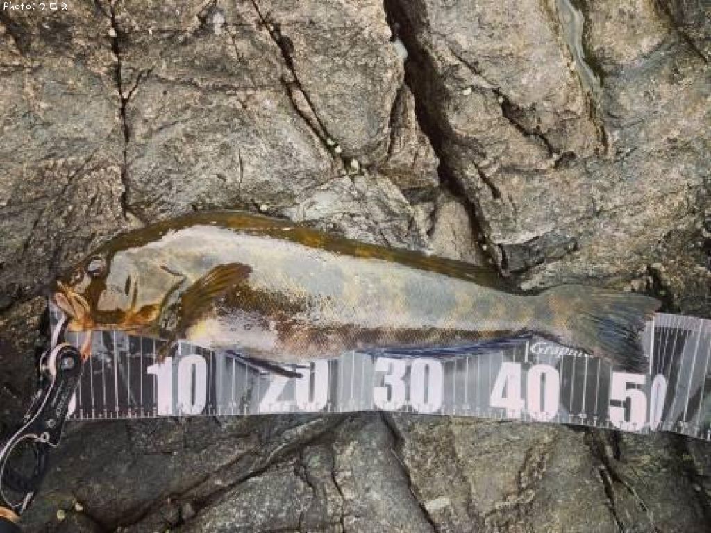 �����ʥ�