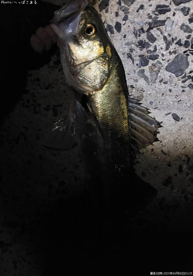 �����Х�