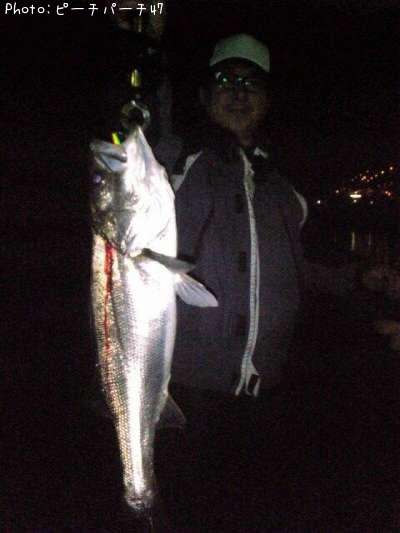 �����Х�