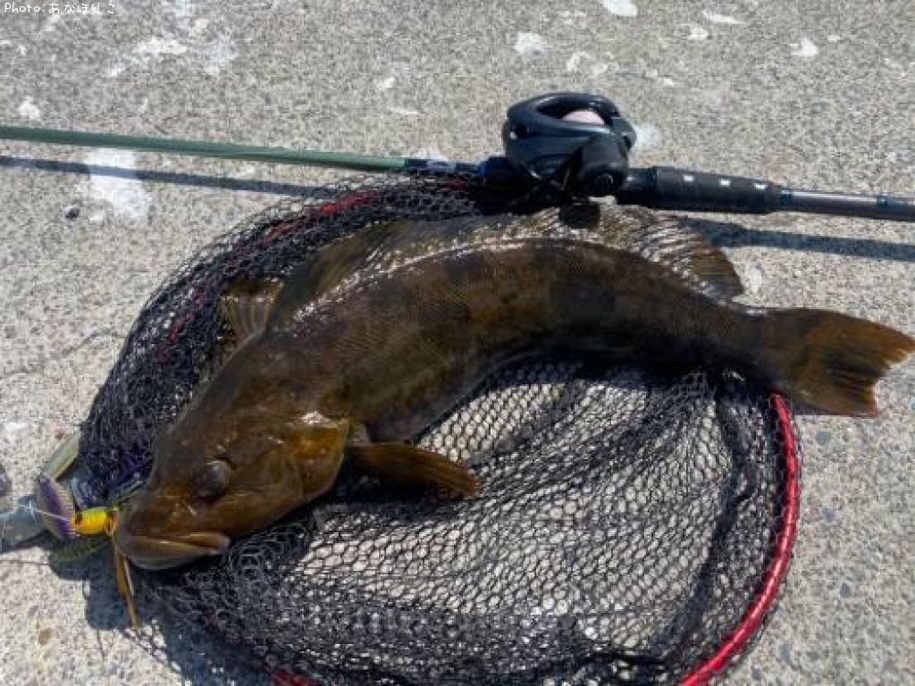 �����ʥ�