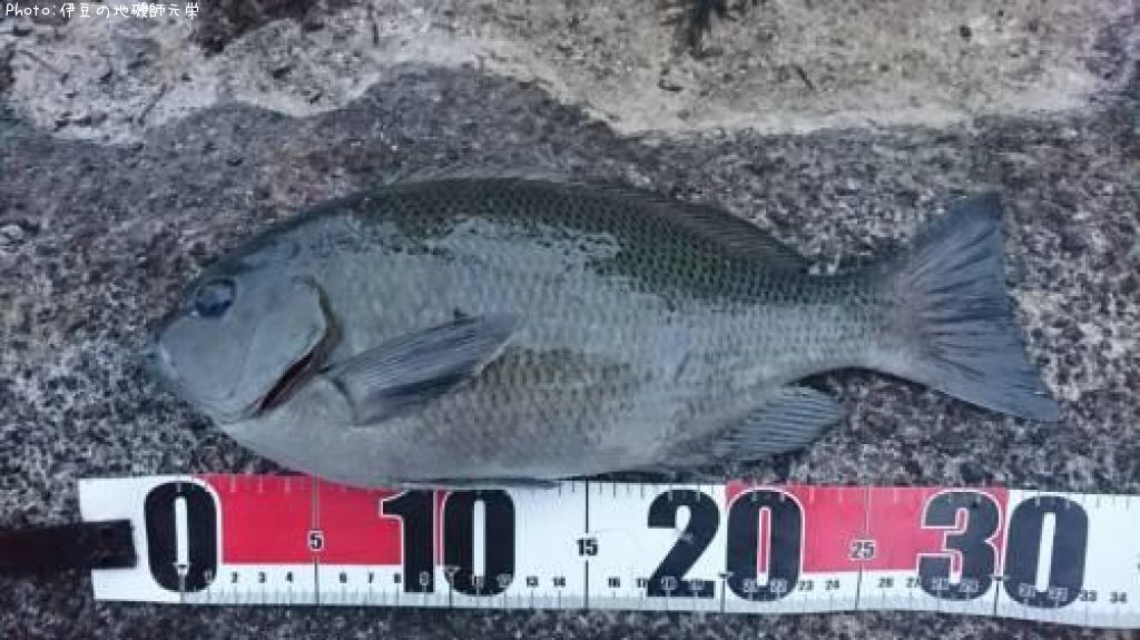 �����᥸��