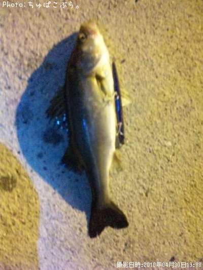 �����Х�