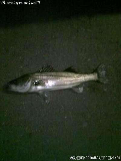 �����Х�