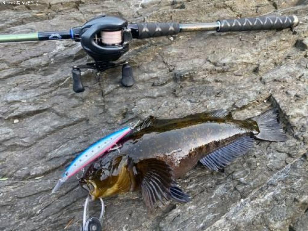 �����ʥ�