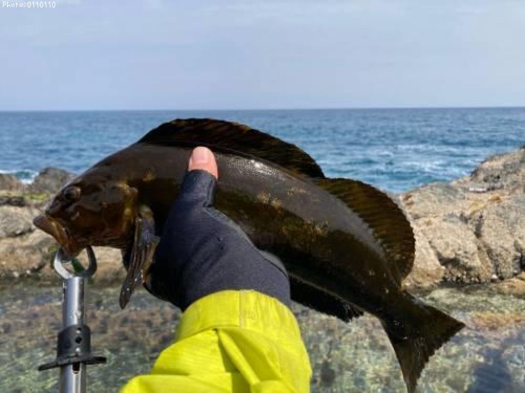 �����ʥ�