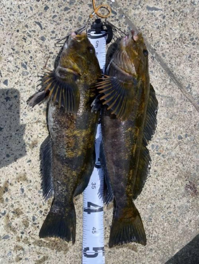 �����ʥ�