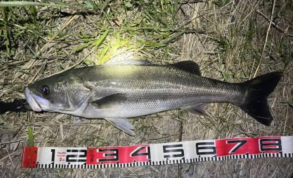 �����Х�