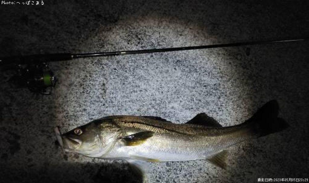 �����Х�