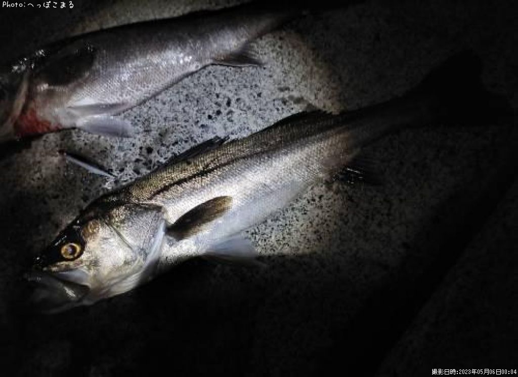 �����Х�