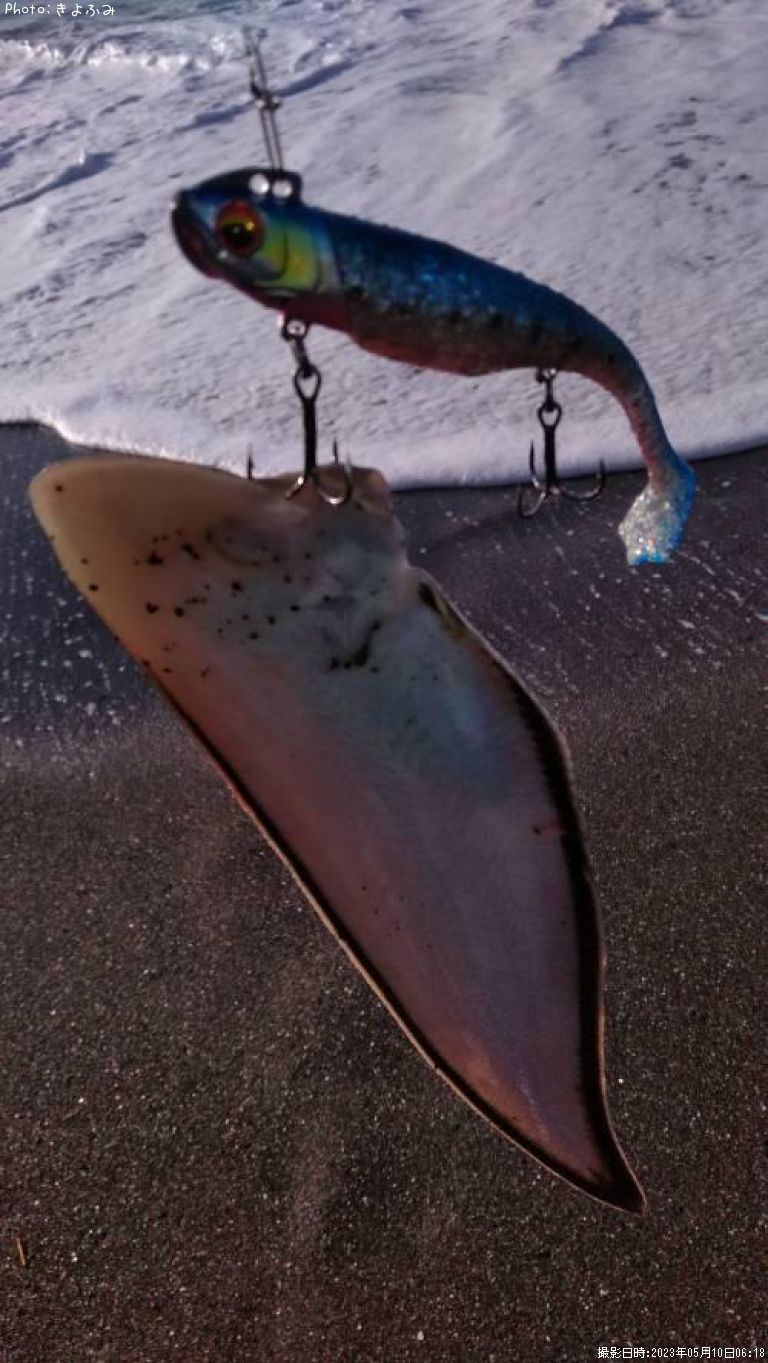 �����ӥ��