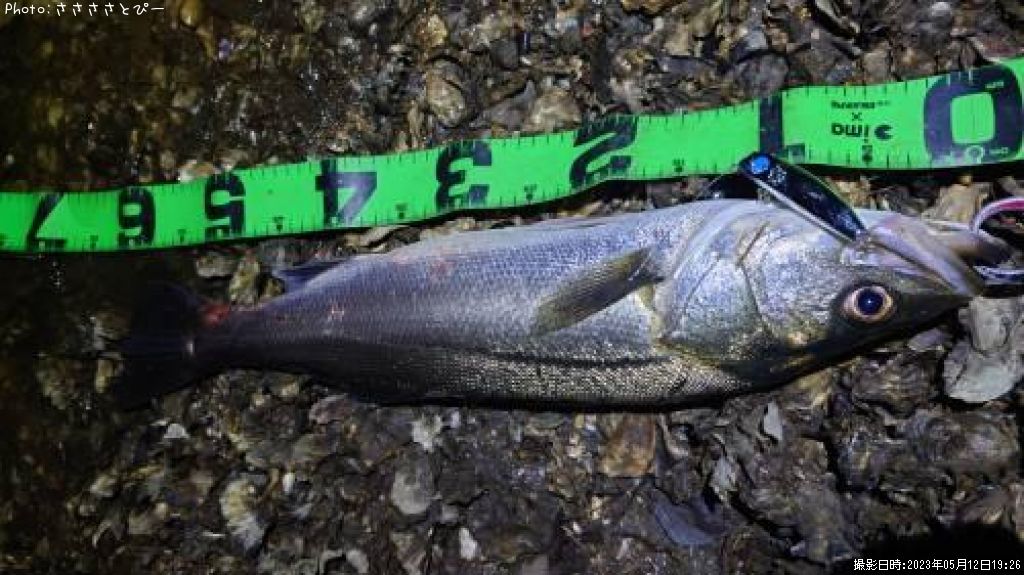 �����Х�