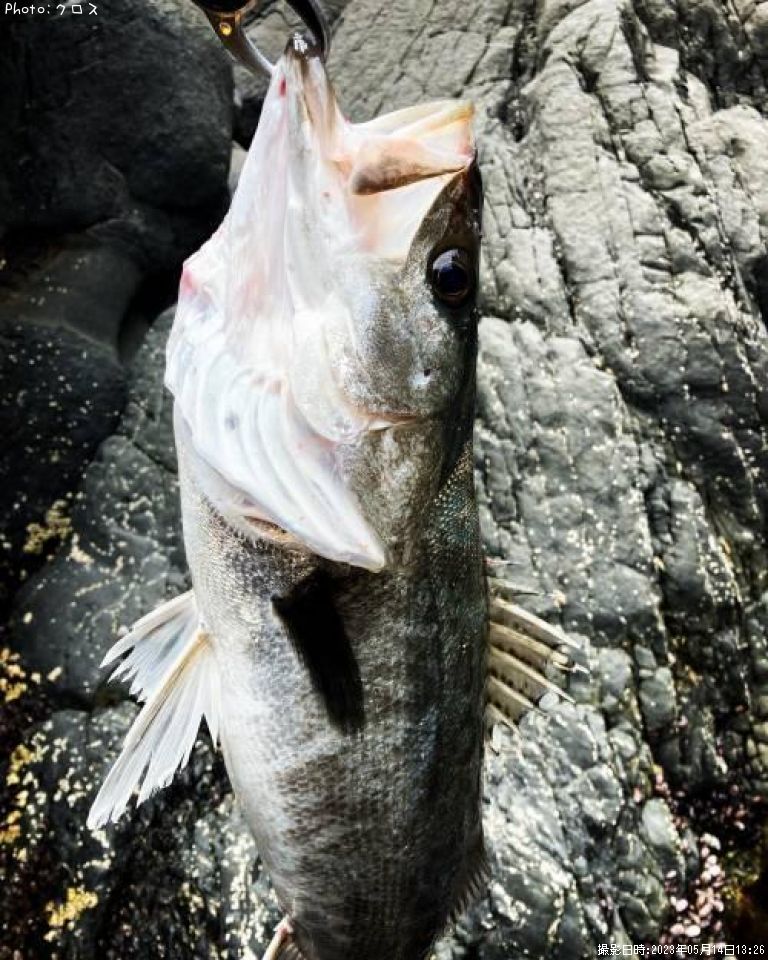 �����Х�