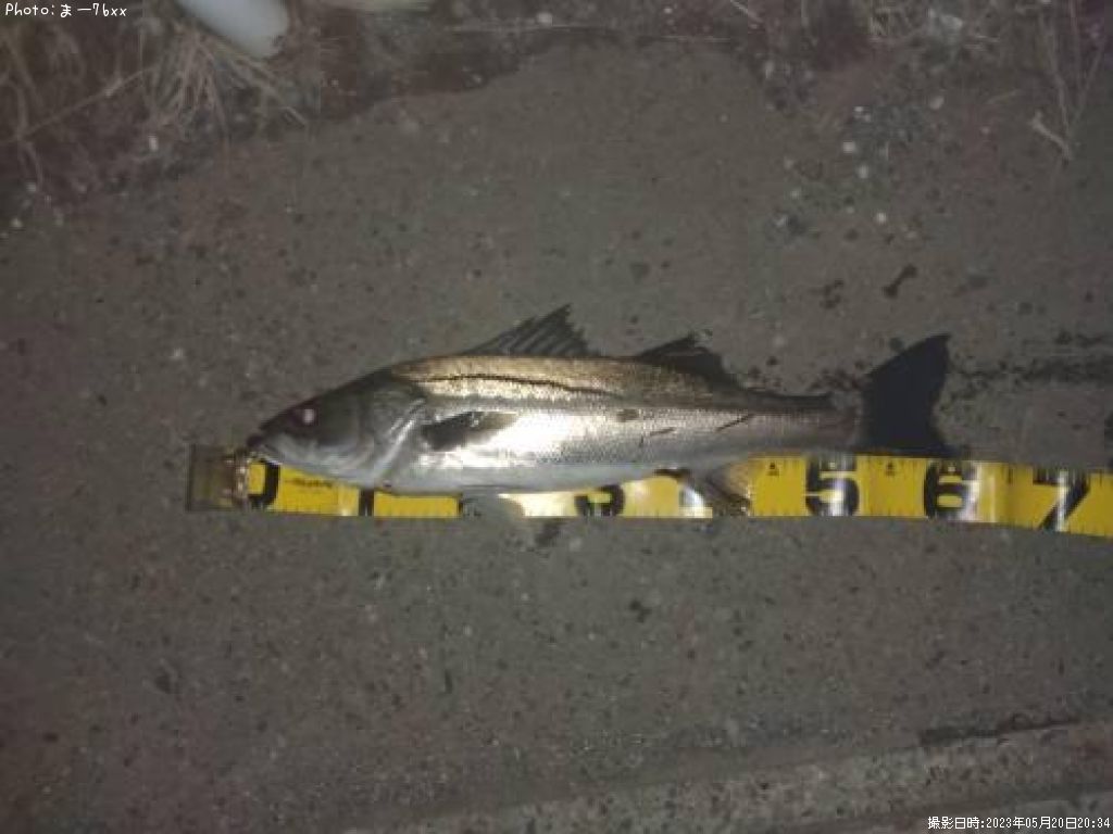 �����Х�