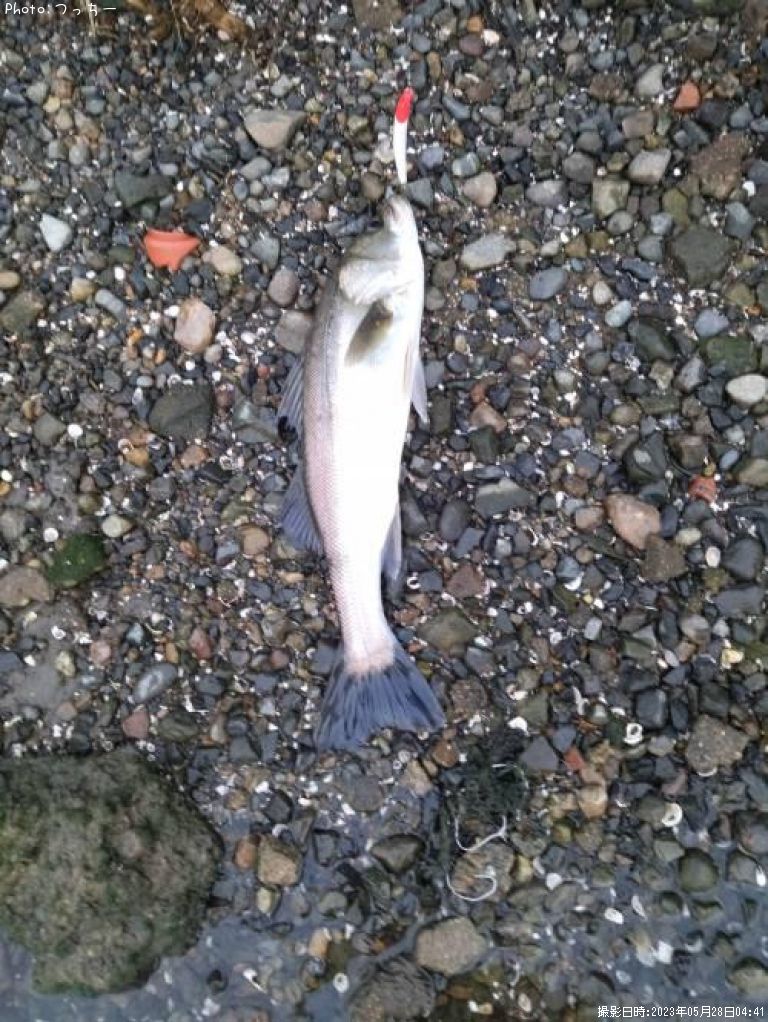 �����Х�