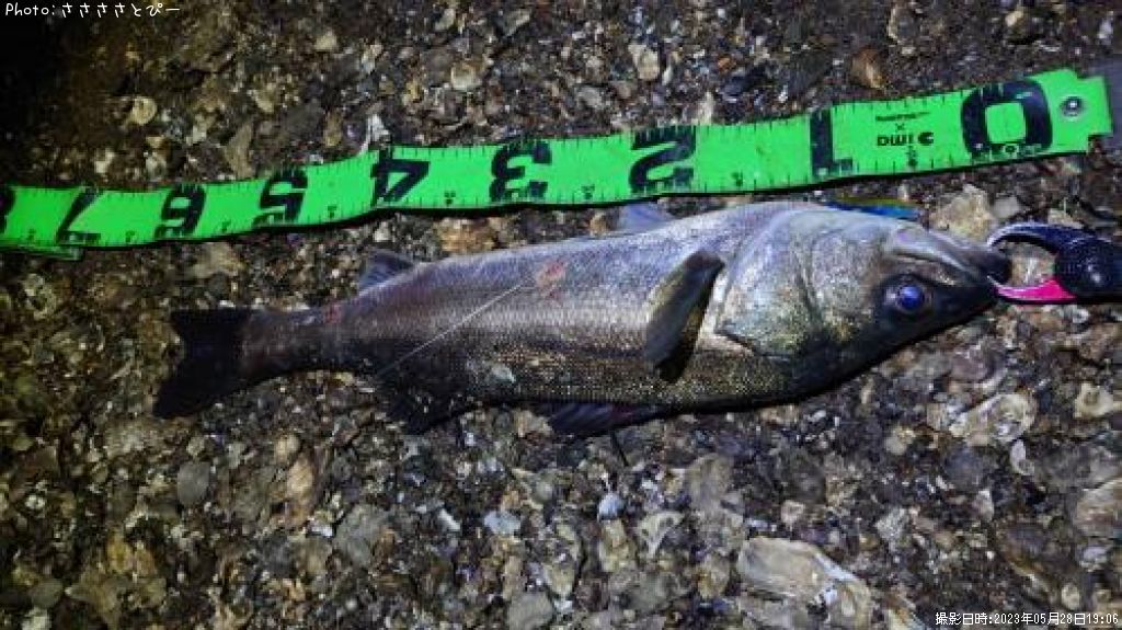 �����Х�