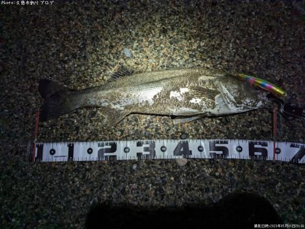 �����Х�