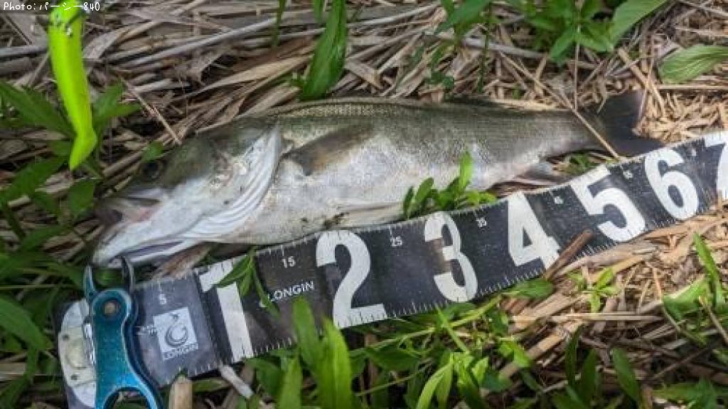 �����Х�